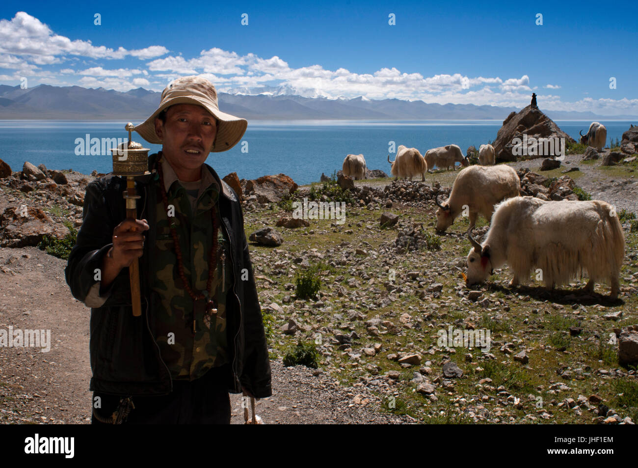 A pilgrim and several Yaks grazing in Nam Tso Lake (Nam Co) in Nyainqentanglha mountains, Tibet. Stock Photo