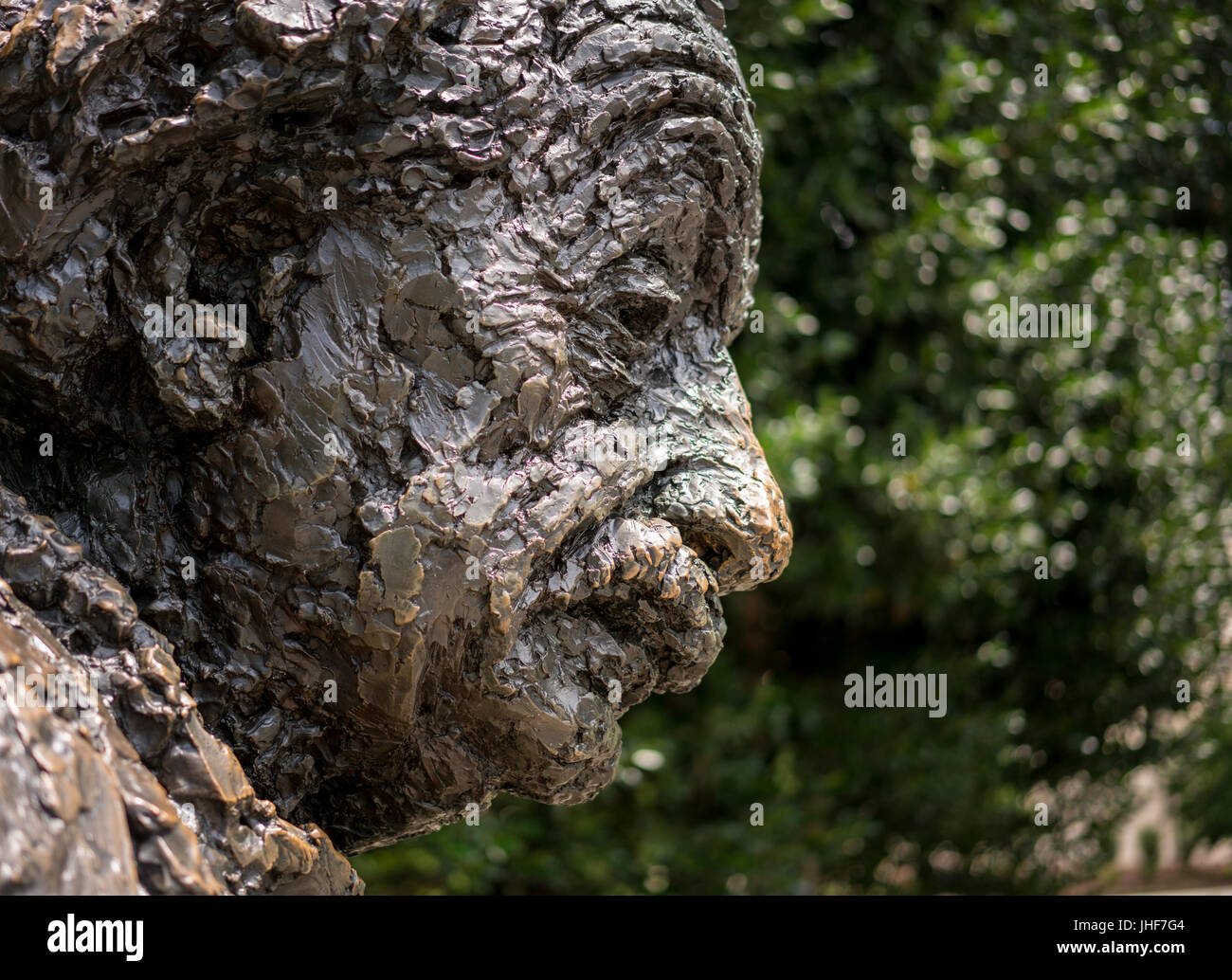 Statue of Albert Einstein in Washington DC Stock Photo Alamy