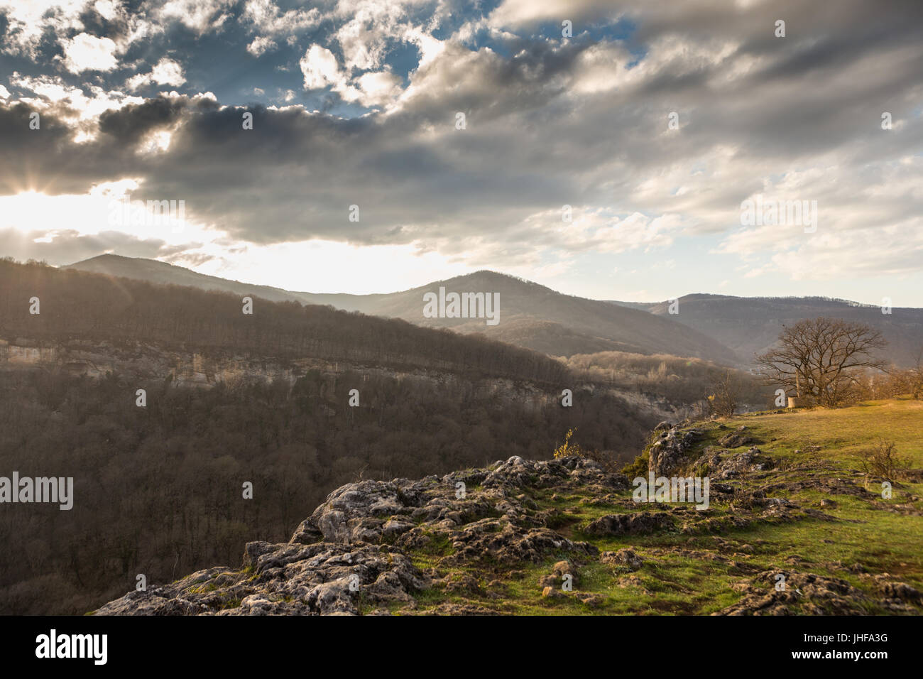 Lonely tree on the mountain over the abyss in the rays of the setting or rising sun. Adygea mountains. Stock Photo