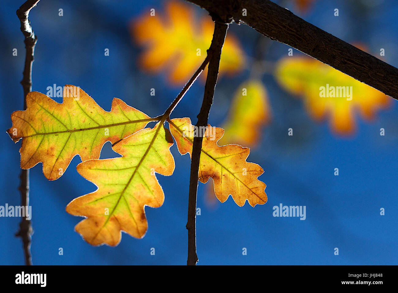 Time change history hires stock photography and images Alamy