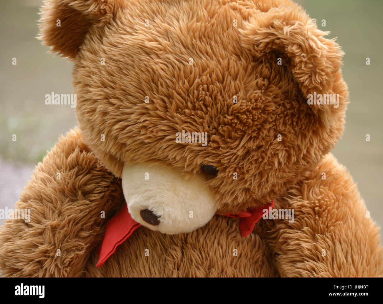 teddy bear Stock Photo