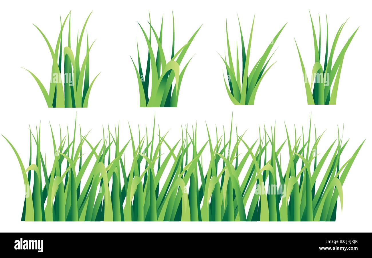 Tuft Vector Tufts of grass. A set of design elements of nature. vector illustration ...
