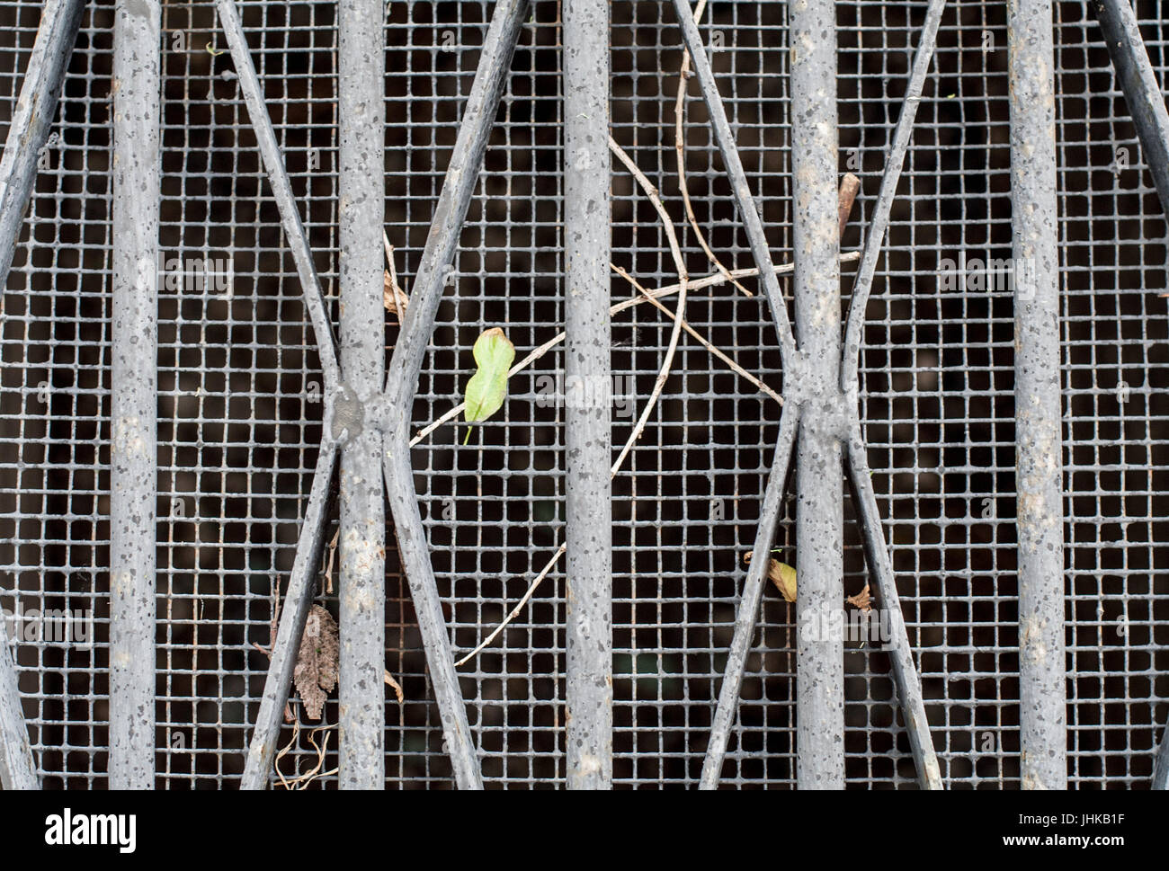 sewer/ventilation grid with leaves and sticks Stock Photo
