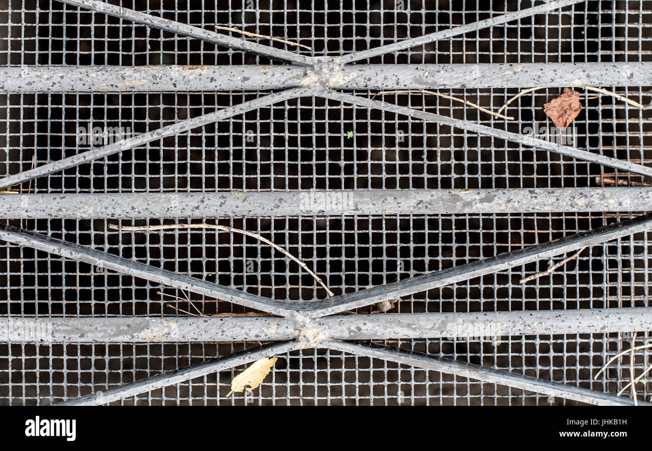 sewer/ventilation grid with leaves and sticks Stock Photo