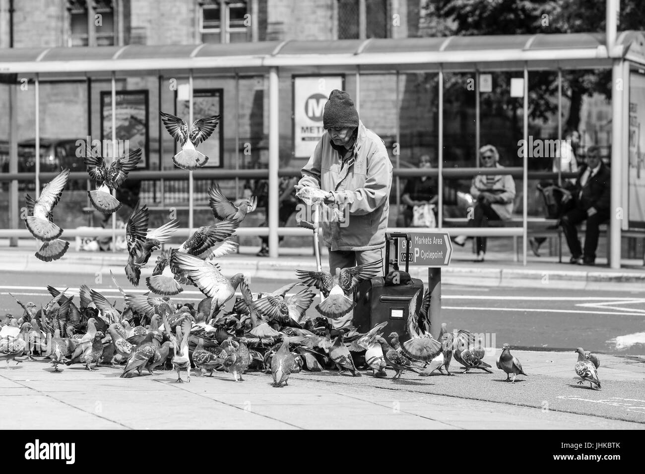 woman feeding the Pigeons in Leeds City centre, West Yorkshire, England Stock Photo