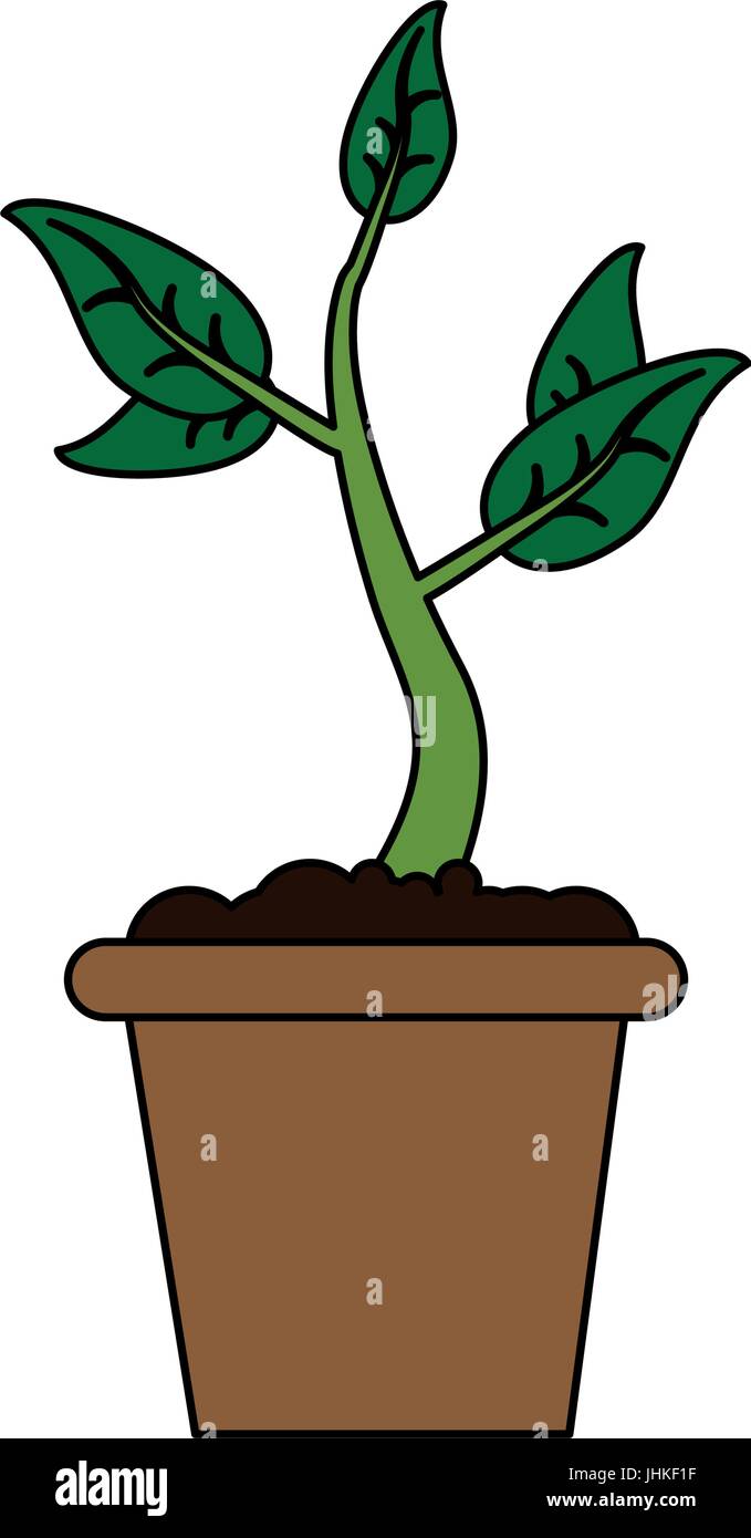 plant pot vector illustration Stock Vector Image & Art - Alamy