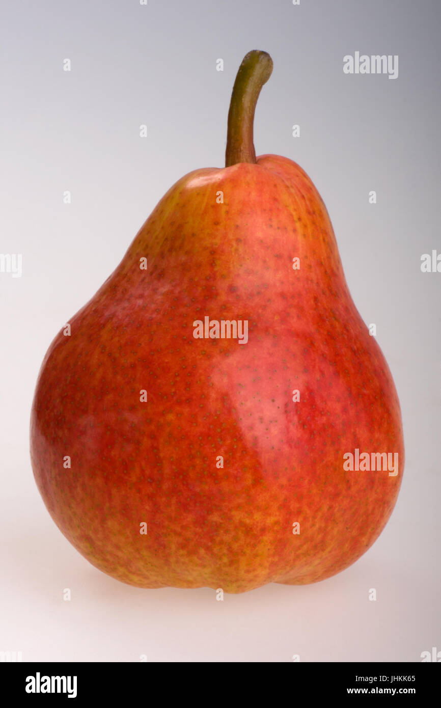 Ripe Red Pear on grey background, Studio shoot. Stock Photo