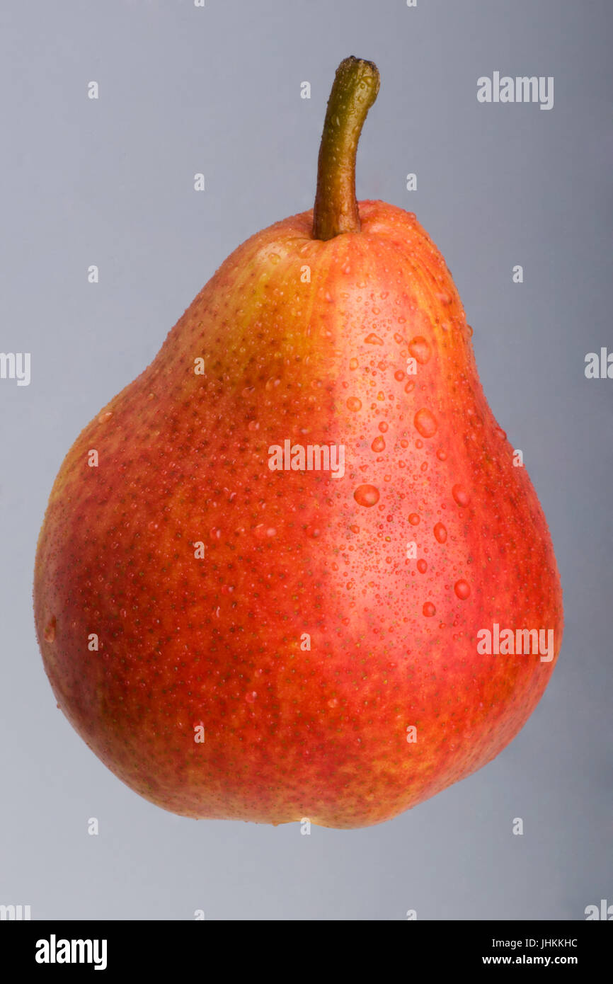 Ripe Red Pear on grey background, Studio shoot. Stock Photo