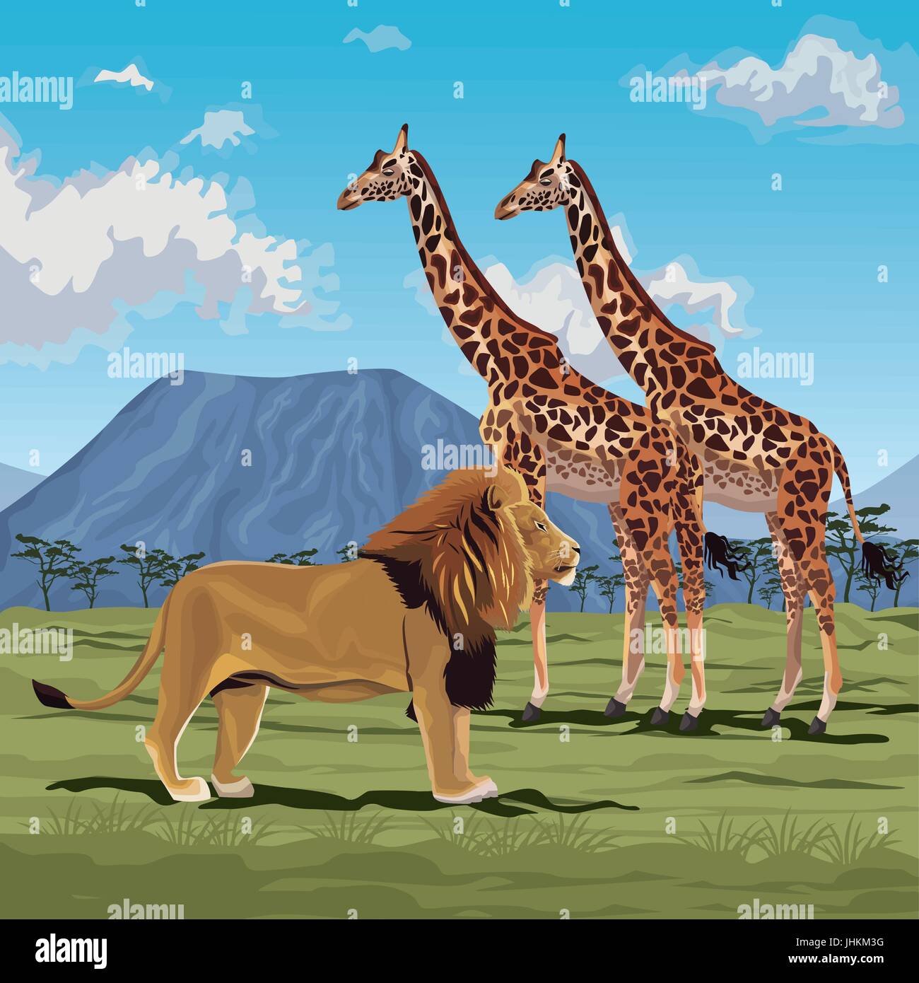 color scene african landscape with lion and pair of giraffes Stock ...