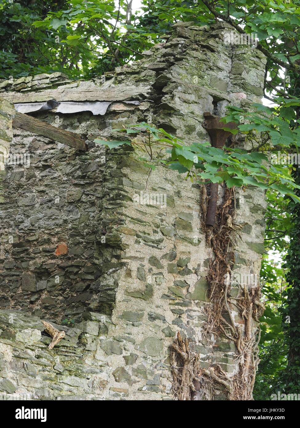 Peel Tower East Hill Braunton, built 1857 for Thomas Mortimer of Franklyn Cottage. Creeper-clad rubble 3-stage tower with first floor access to rear. Stock Photo