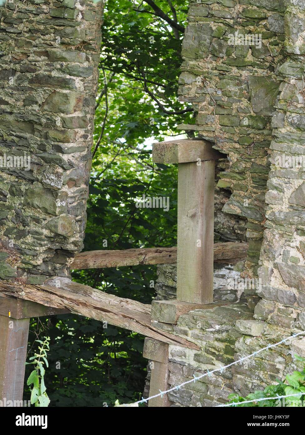 Peel Tower East Hill Braunton, built 1857 for Thomas Mortimer of Franklyn Cottage. Creeper-clad rubble 3-stage tower with first floor access to rear. Stock Photo