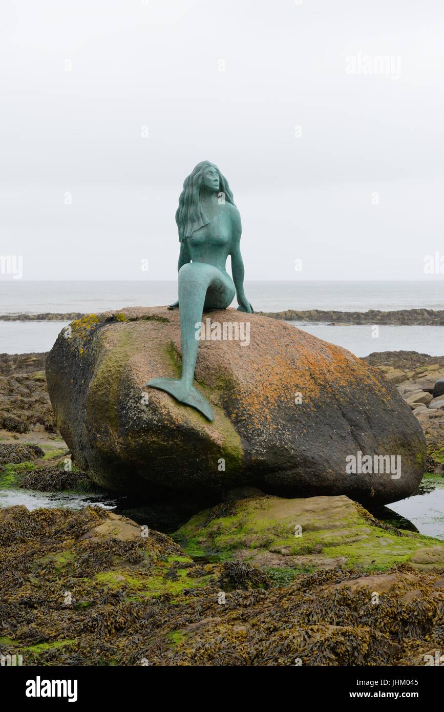 In Balintore,Tain, Scotland, on a rock in the sea named 'Clach Dubh' (black rock) sits the bronze mermaid statue known as 'The Mermaid of The North'. Stock Photo
