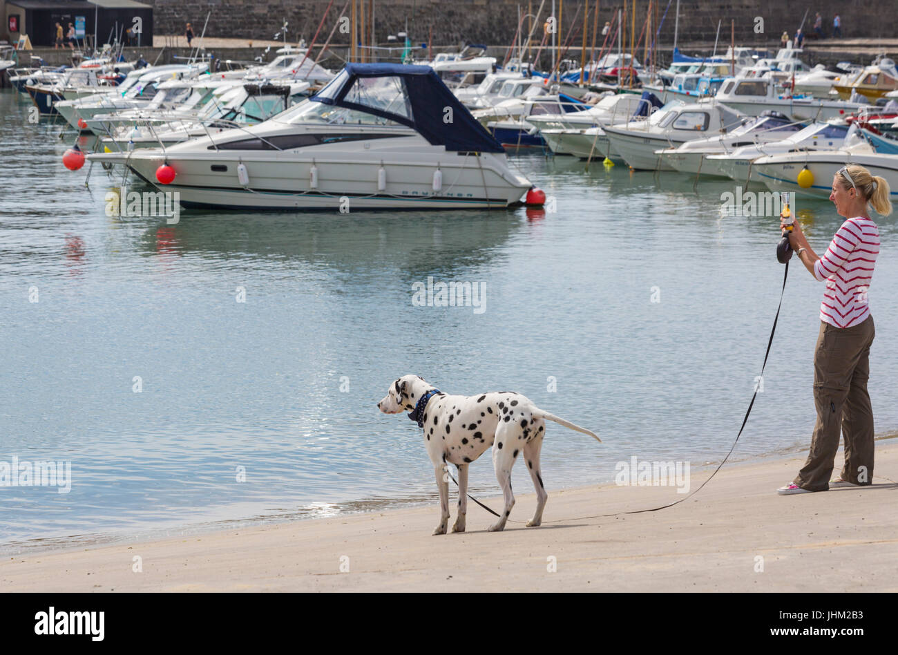 Woman with Dalmatian dog taking photo in Lyme Regis harbour at Lyme Regis, Dorset in July Stock Photo