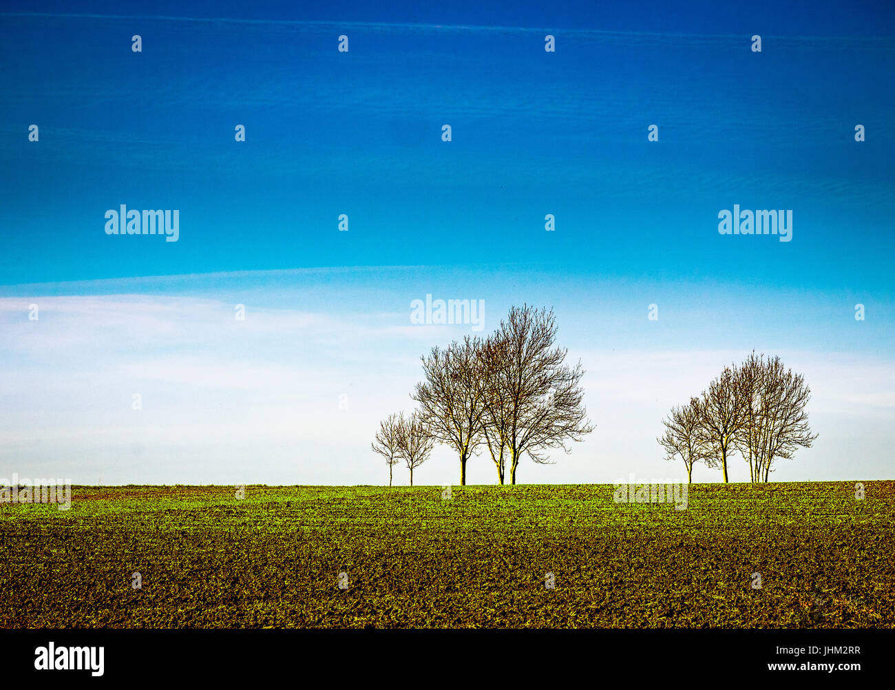 Cambridge countryside hi-res stock photography and images - Alamy