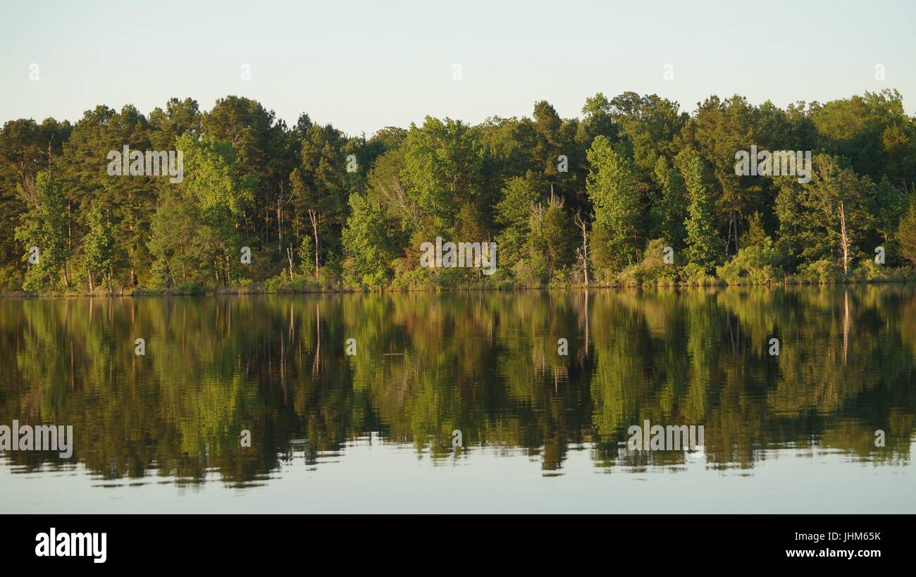 Trees reflecting on calm lake water Stock Photo - Alamy
