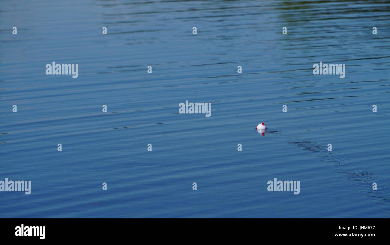 Fishing Bobber in water with ripples Stock Photo Alamy