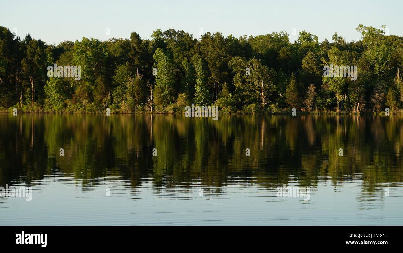 Trees reflecting on calm lake water Stock Photo - Alamy