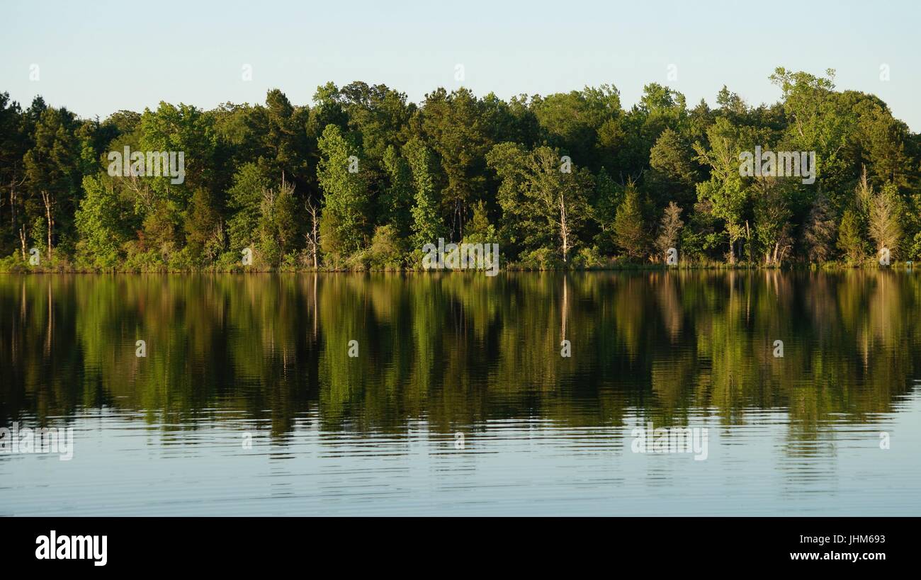 Trees reflecting on calm lake water Stock Photo - Alamy