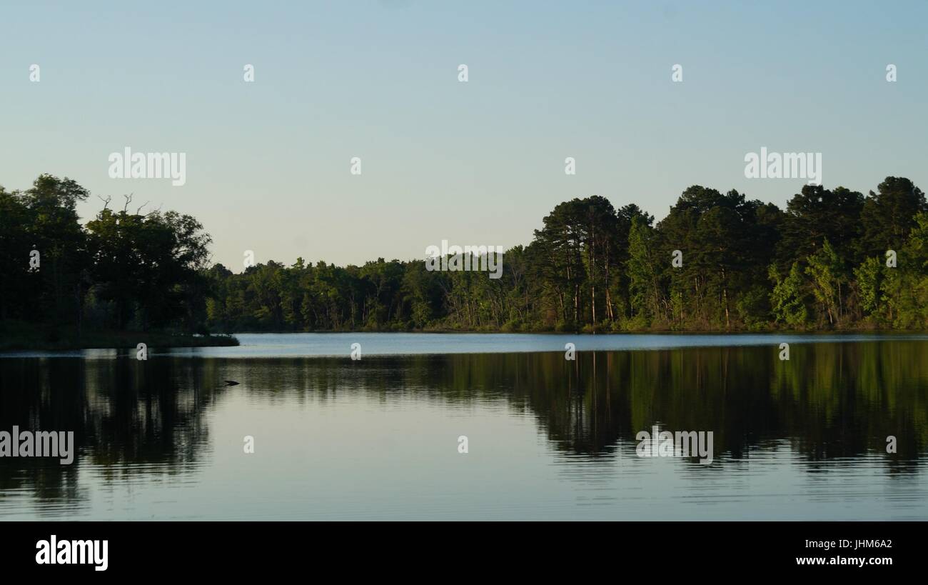 Trees reflecting on calm lake water Stock Photo - Alamy