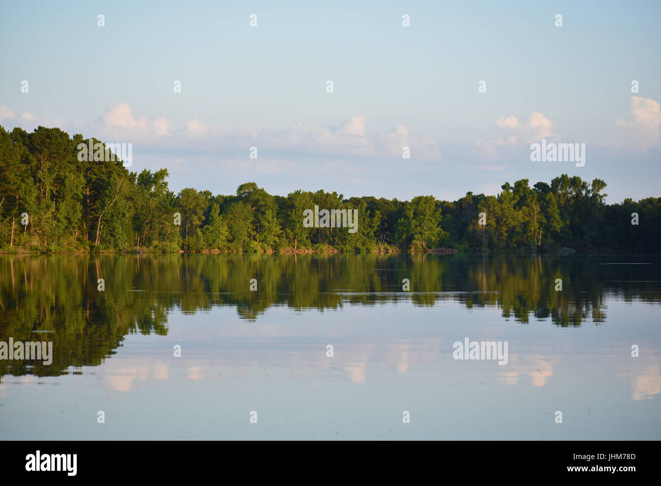 Trees reflecting on calm lake water Stock Photo - Alamy