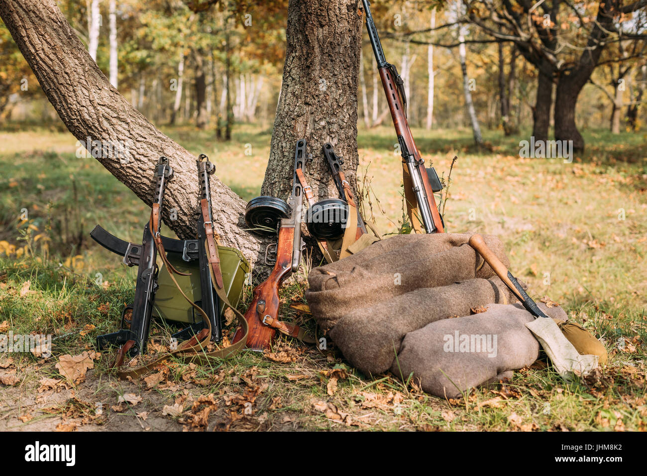 Soviet Russian Military Ammunition Weapon Of World War II. PPS-43, PPSh-41 Submachine Gun And SKS Rifle Leaning Against Trunk Of Tree. Weapon Of Red A Stock Photo