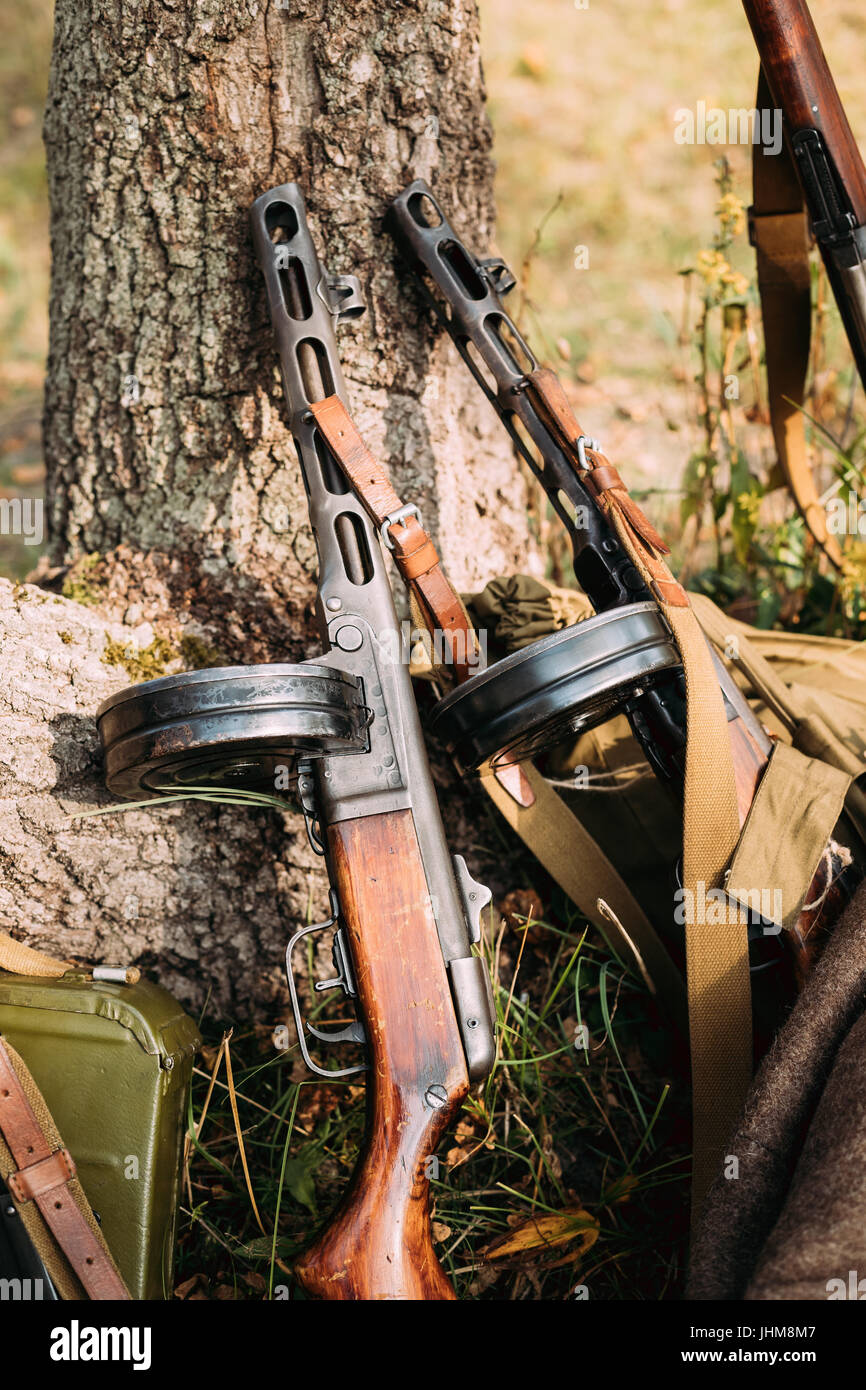 Soviet Russian Military Ammunition Weapon Of World War II. PPSh-41 Submachine Gun Leaning Against Trunk Of Tree. Weapon Of Red Army. Stock Photo