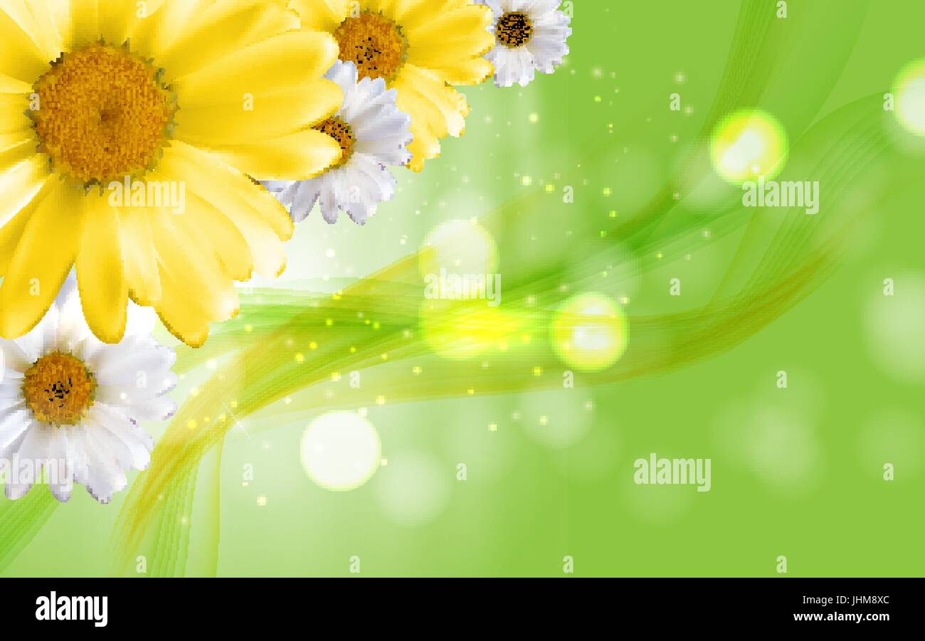 Colorful Naturalistic Beautiful 3D Chamomile Background Vector I Stock Vector