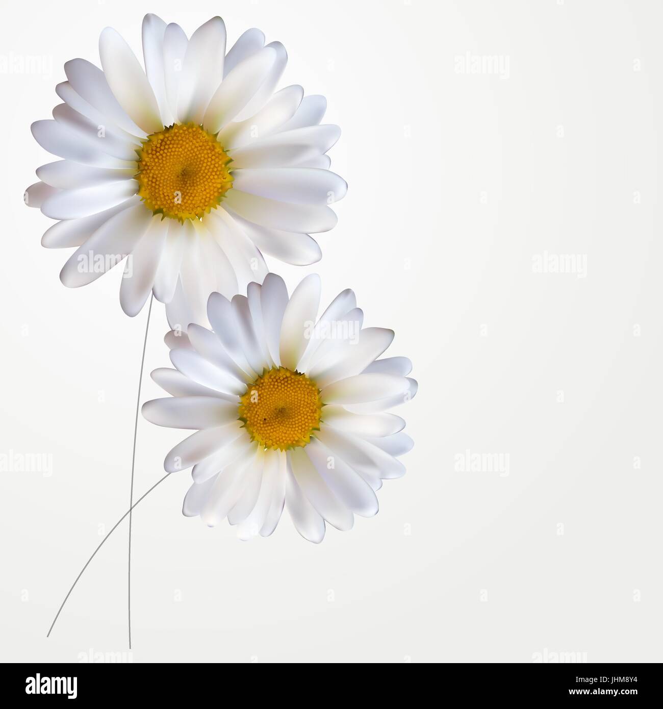 Colorful Naturalistic Beautiful 3D Chamomile Background Vector Illustration Stock Vector