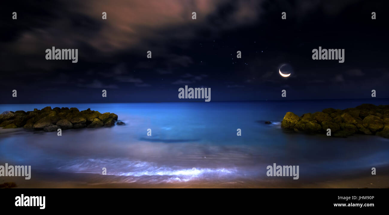 A crescent moon rises over Fort Lauderdale Beach in the early morning