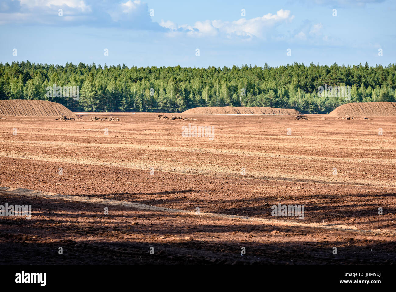 Bog And The Field On Which The Production Is Carried Out In Black Peat 