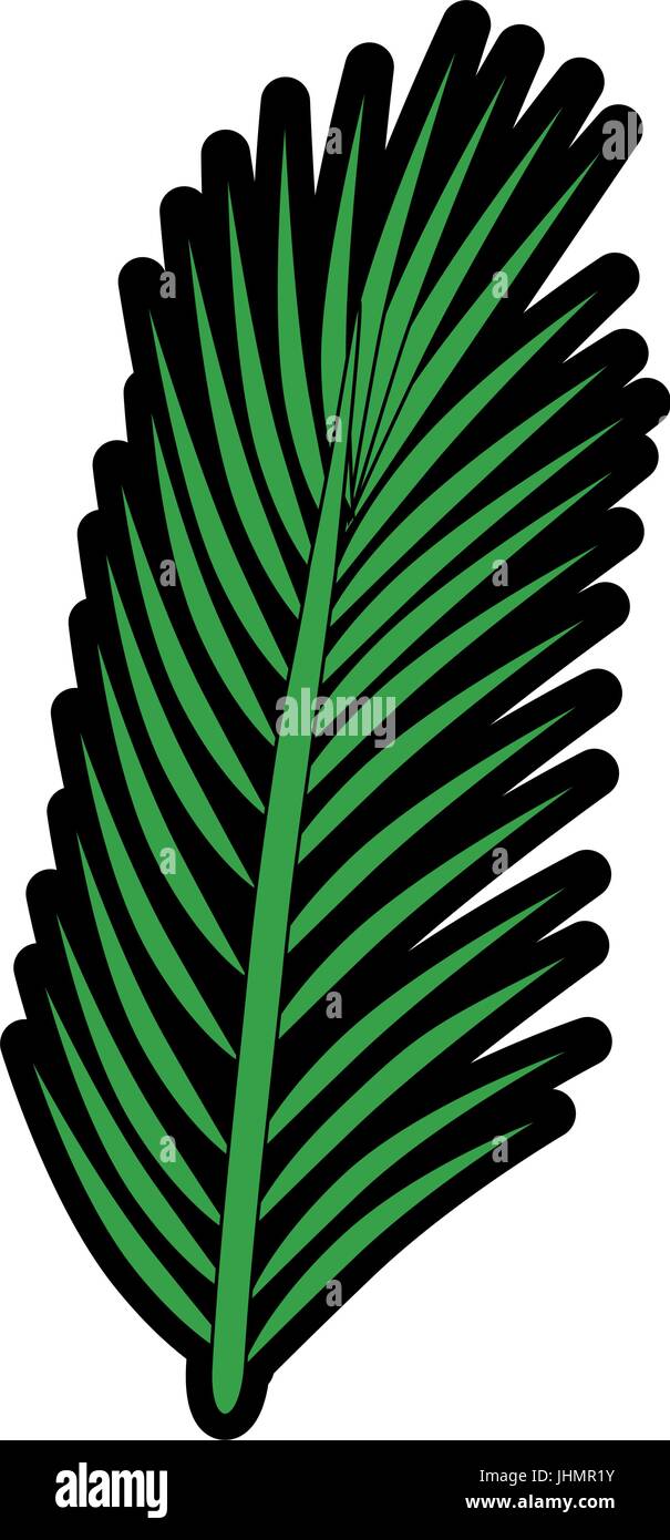tropical leaf icon over white background vector illustration Stock ...