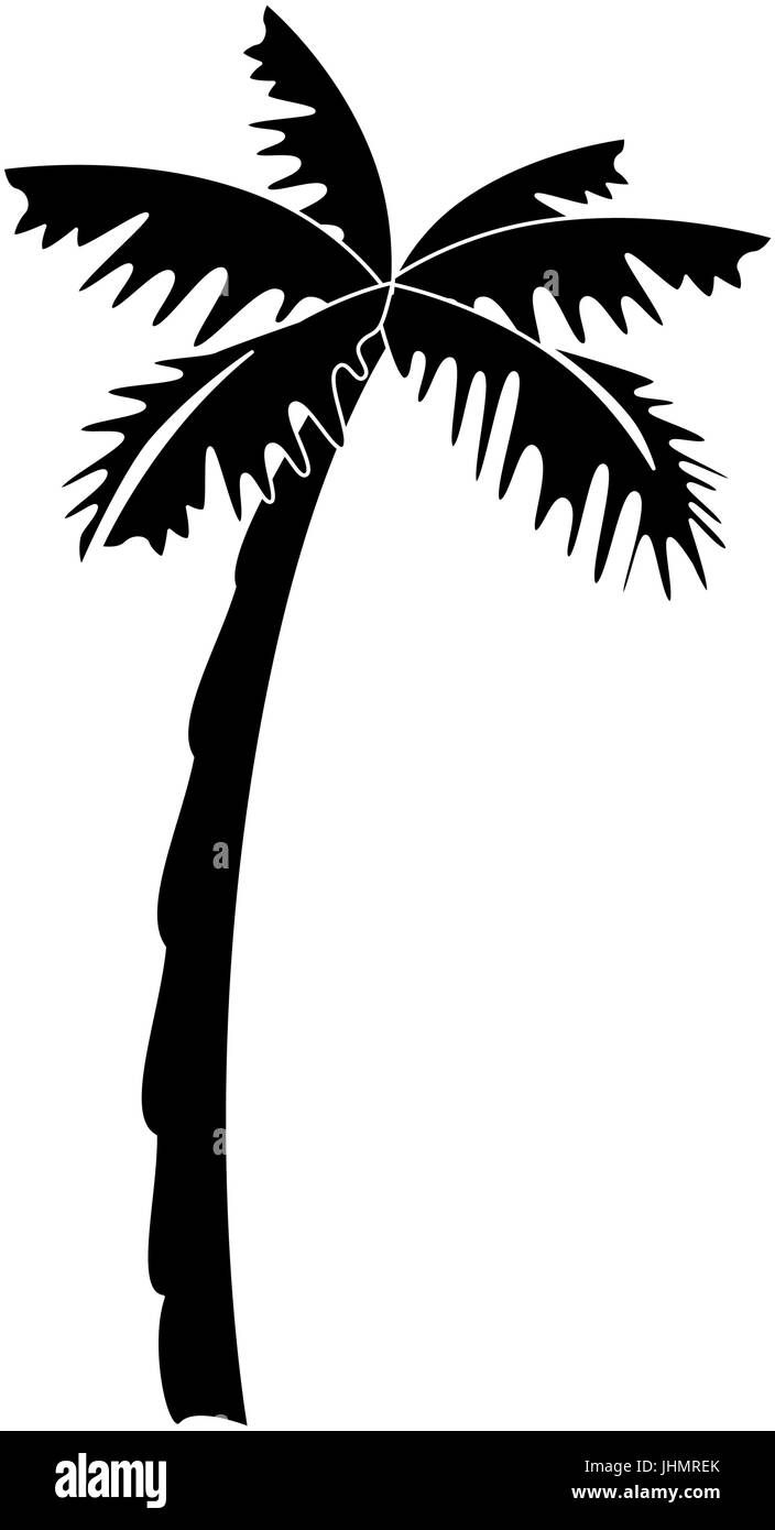 tropical palm icon over white background vector illustration Stock ...
