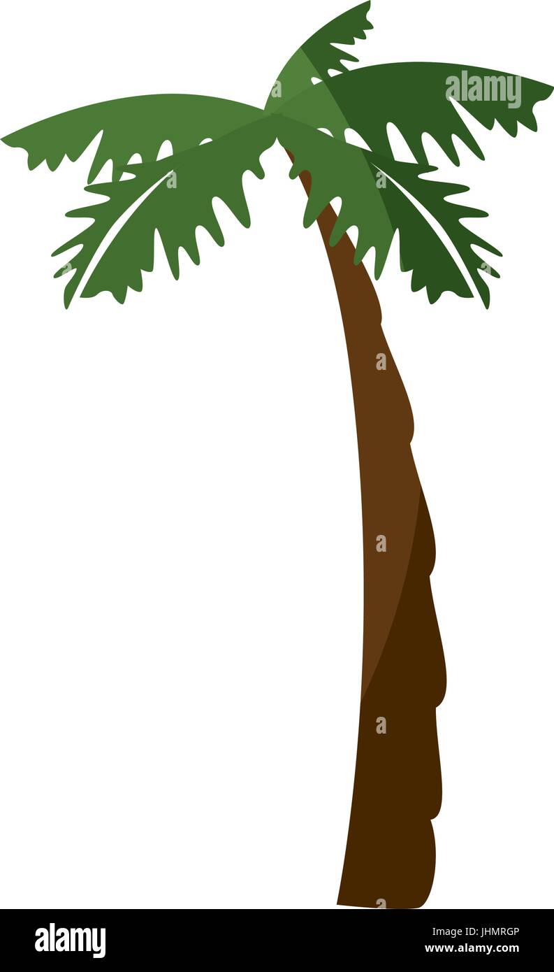 tropical palm icon over white background vector illustration Stock ...