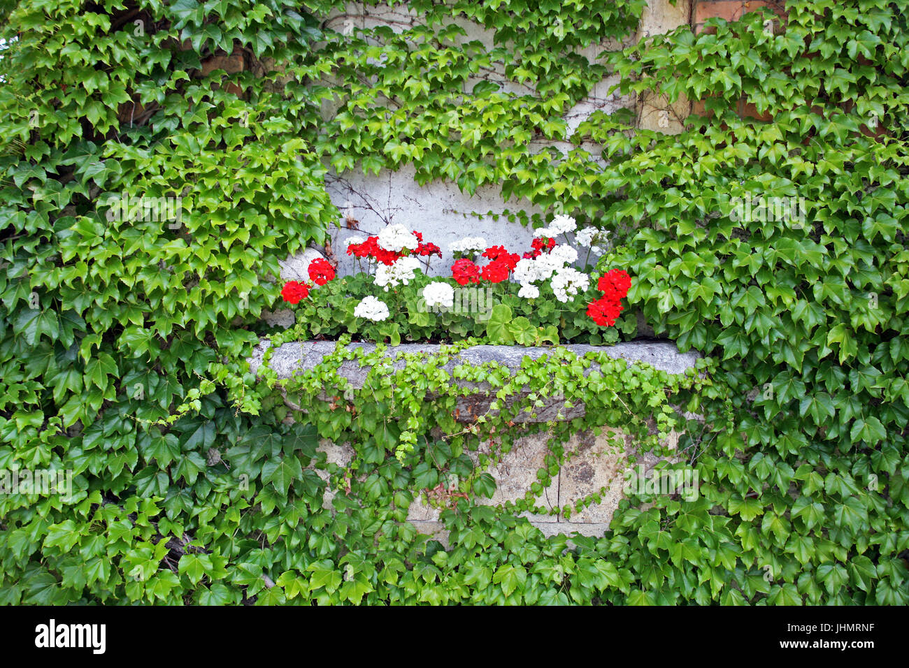 Arcades of Zagreb's main cemetery Mirogoj,flowers and ivy,Croatia,Europe Stock Photo