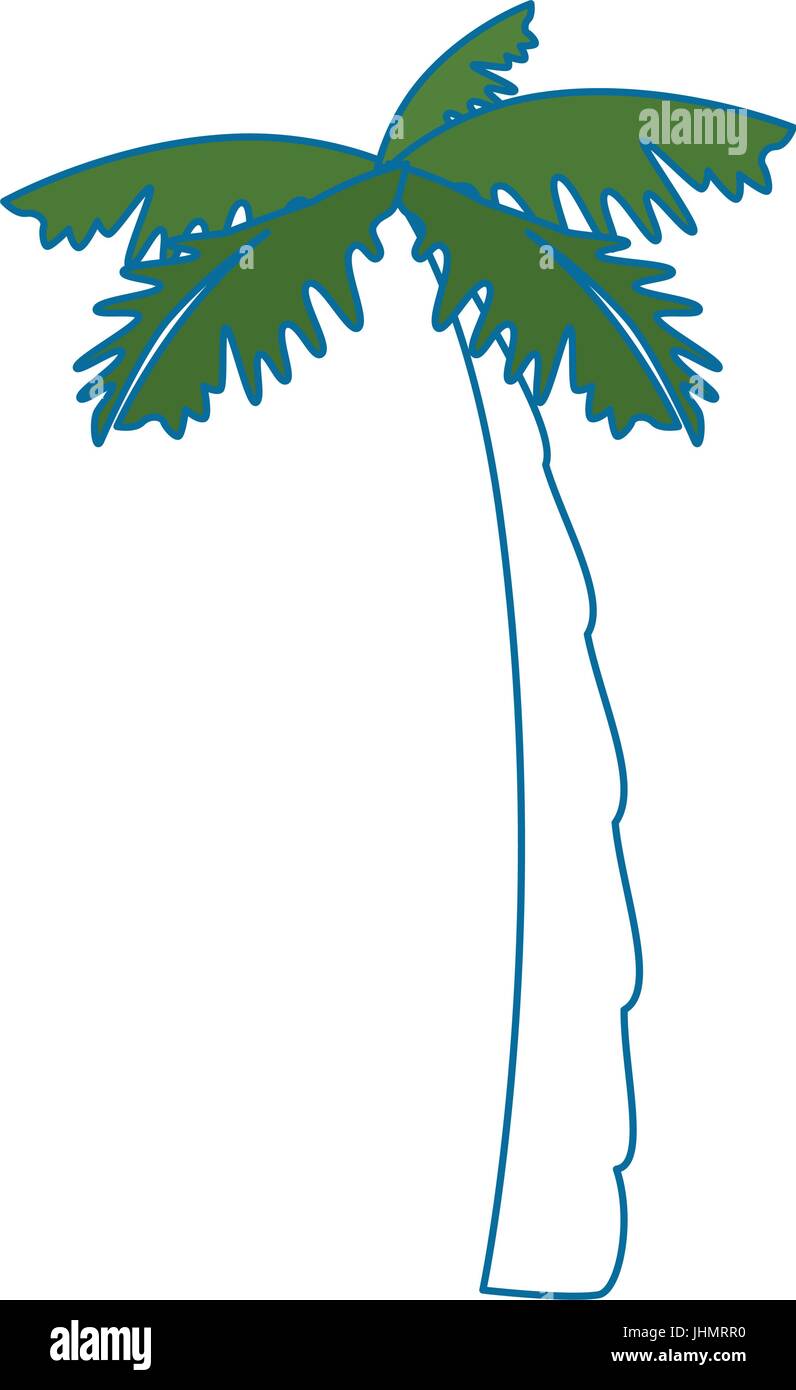 tropical palm icon over white background vector illustration Stock ...