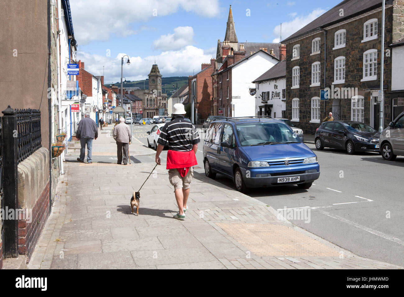 A man walks his dog in Welshpool, Powys. Wales United Kingdom Stock