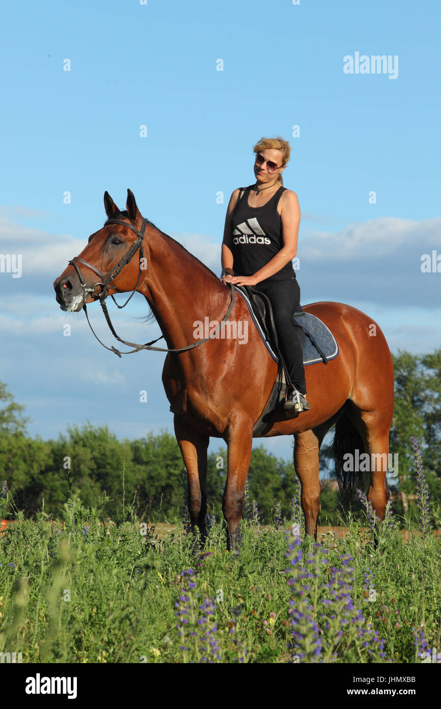 Groom girl on horseback riding through evening meadow Stock Photo - Alamy