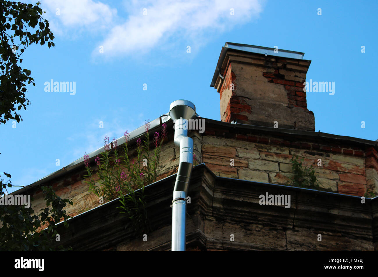 willowherb blossoms on the roof of the historic brick building Ekaterinburgverder, Gatchina. The building was built in 1796. Gradual destruction. Stock Photo