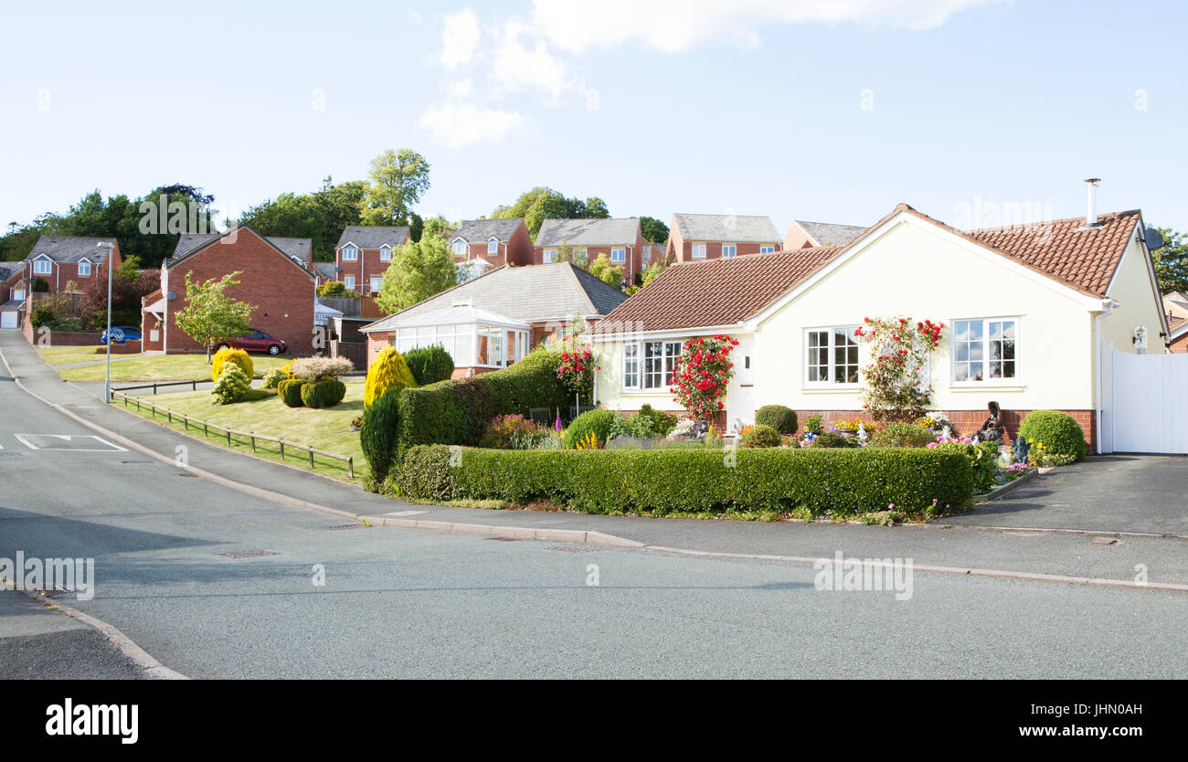 Housing in Welshpool, Powys in Wales. United Kingdom Stock Photo Alamy