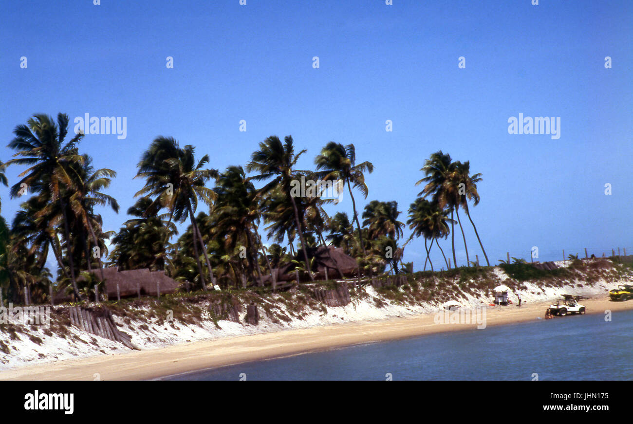 High wall; North Coast; Porto de Galinhas; Pernambuco; Brazil. Stock Photo