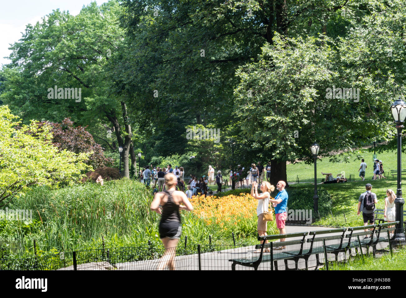 People Enjoying Central Park in Summertime, NYC, USA Stock Photo - Alamy