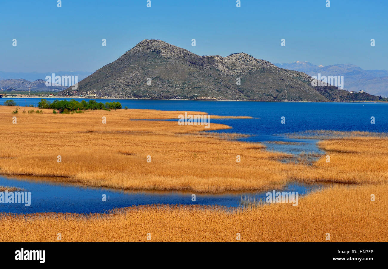 Beautiful view of lake Skadar national park, Montenegro Stock Photo