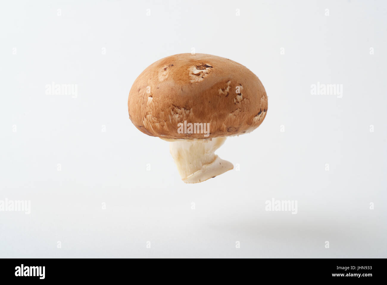 Cremini mushroom hi-res stock photography and images - Alamy