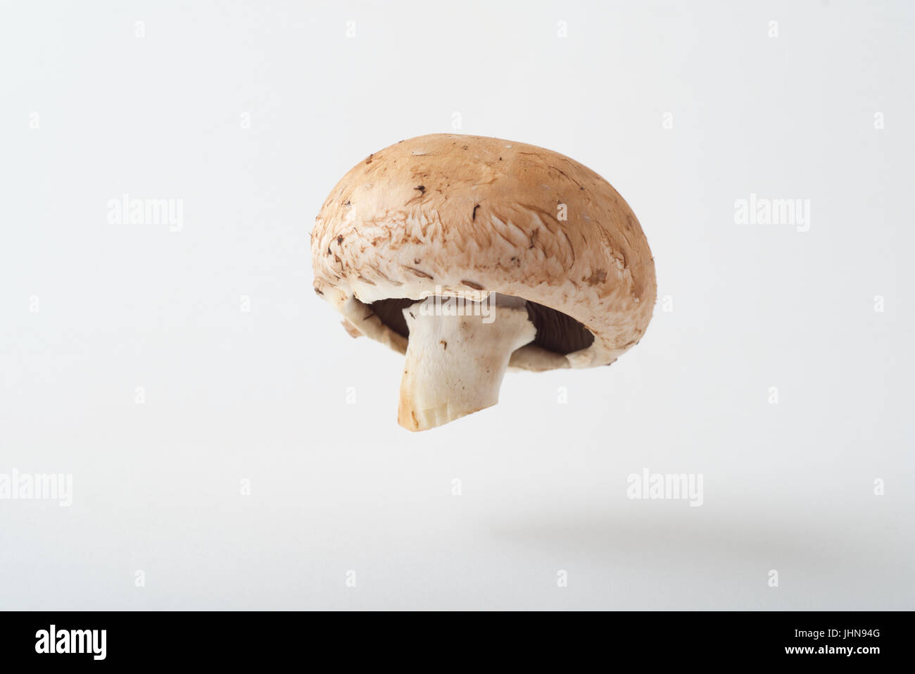 A Cremini mushroom as produce photographed in a studio, suspended over