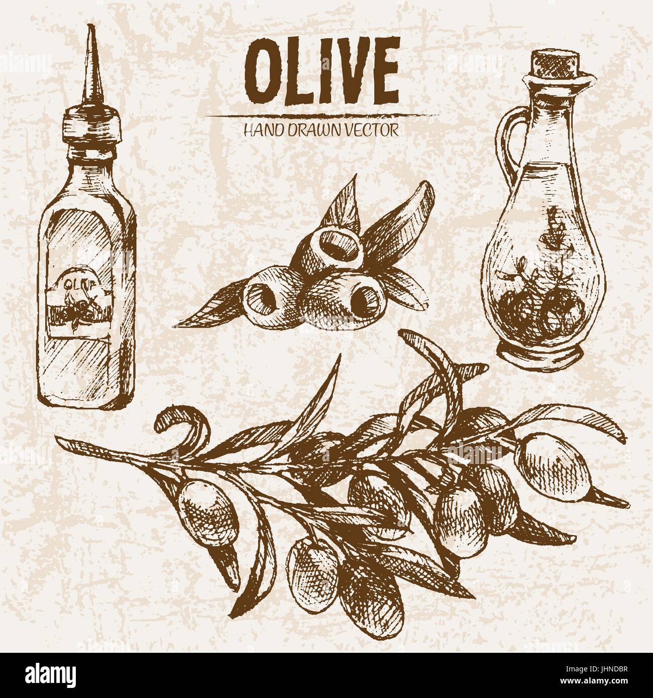 Digital vector detailed line art olive and oil hand drawn retro ...
