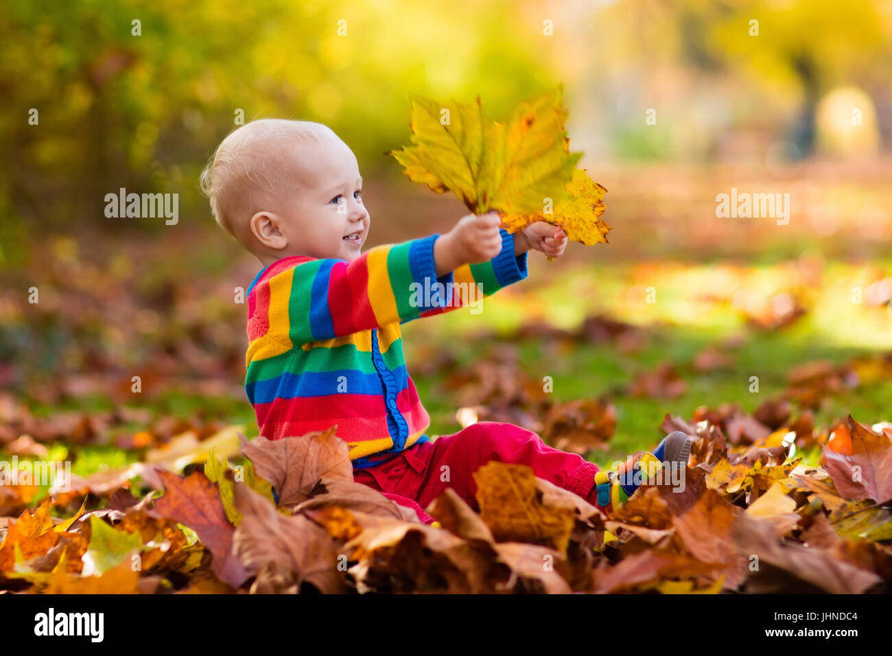 Kids play in autumn park. Children throwing yellow and red leaves.Baby ...