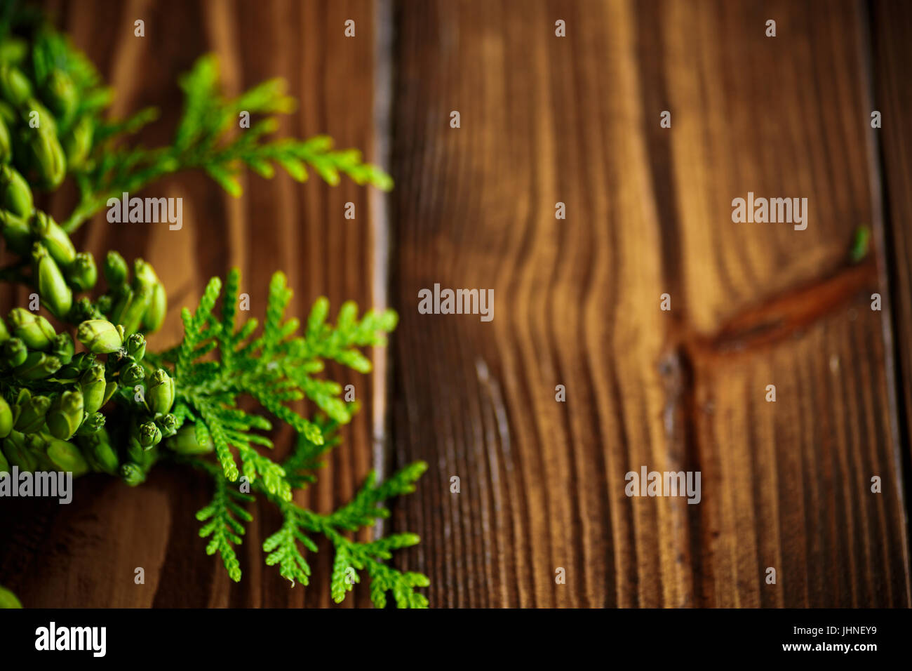 Branch of green thai on a wooden background Stock Photo