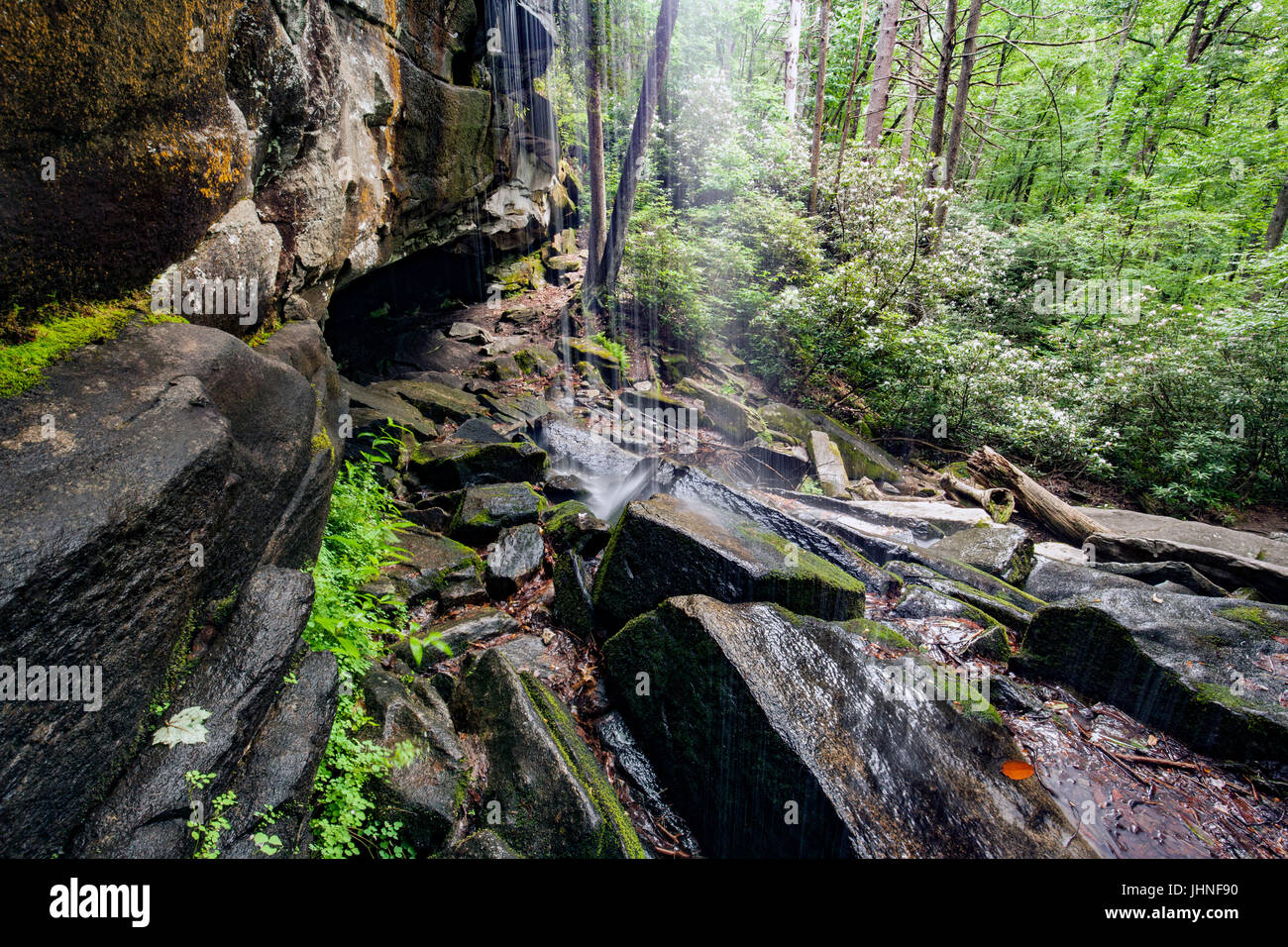 Slick Rock Falls - Pisgah National Forest - near Brevard, North Carolina, USA Stock Photo