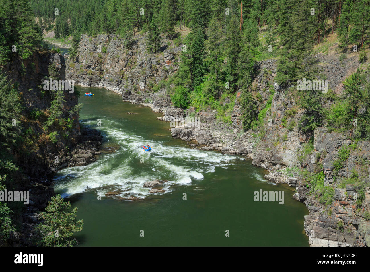 rafters shooting fang rapids on the clark fork river in alberton