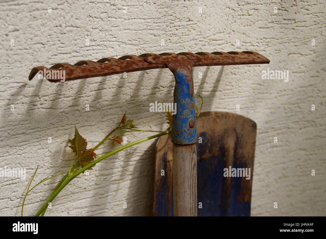 Old rusty garden rake on light yellow parget wall. Traditional ...